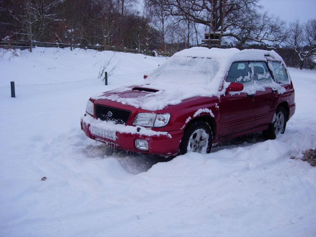 Snow2010001.jpg