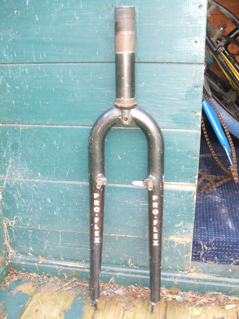 DSCF5485.jpg