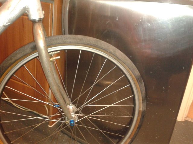 2013-01-26224537.jpg