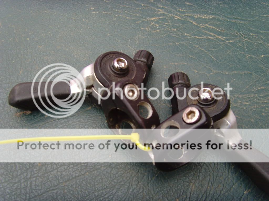 SNV35230.jpg