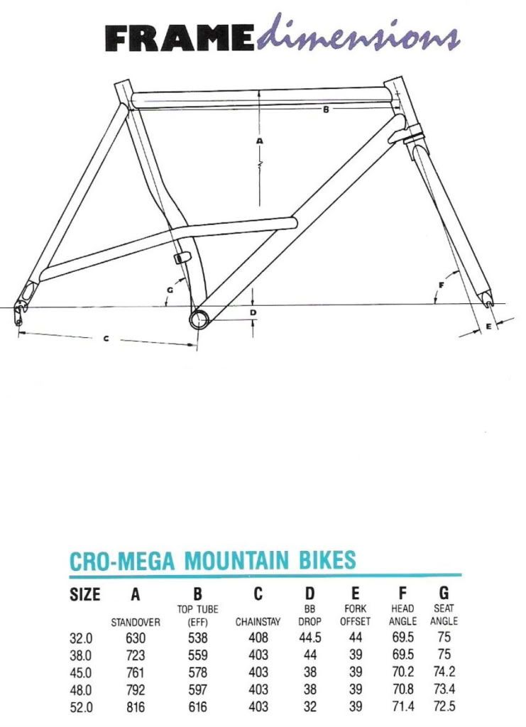 1992cat2.jpg