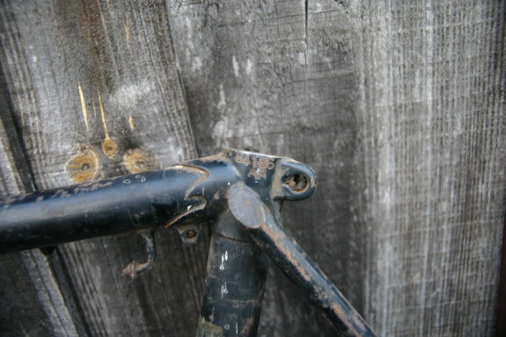 FrameNumber84168AA.jpg