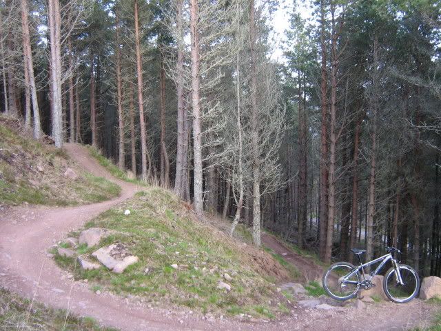 IMG_1408.jpg