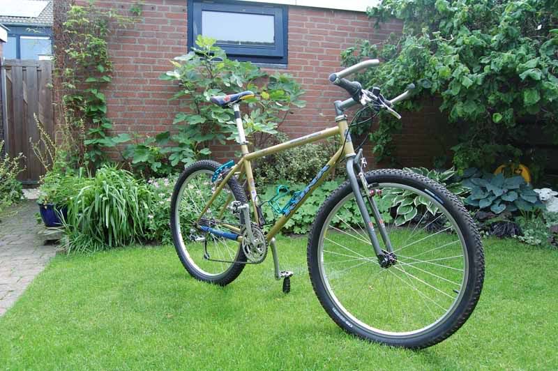 1996CinderCone539.jpg
