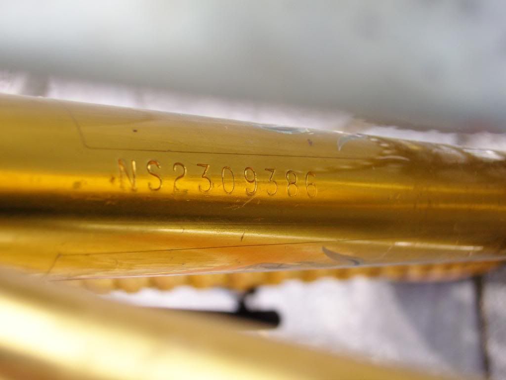 SNC10227.jpg