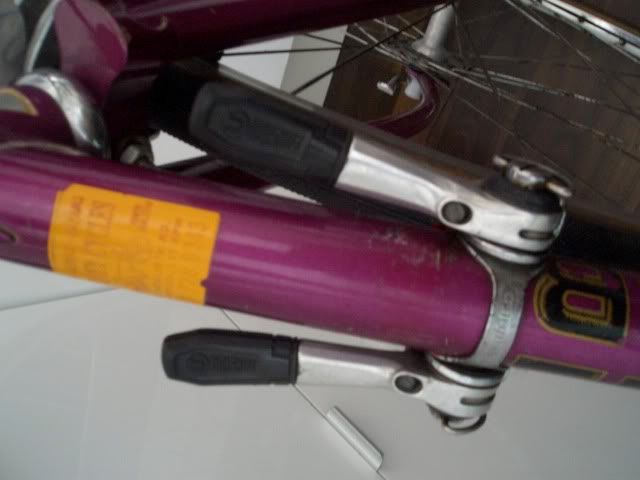 CIMG6770.jpg