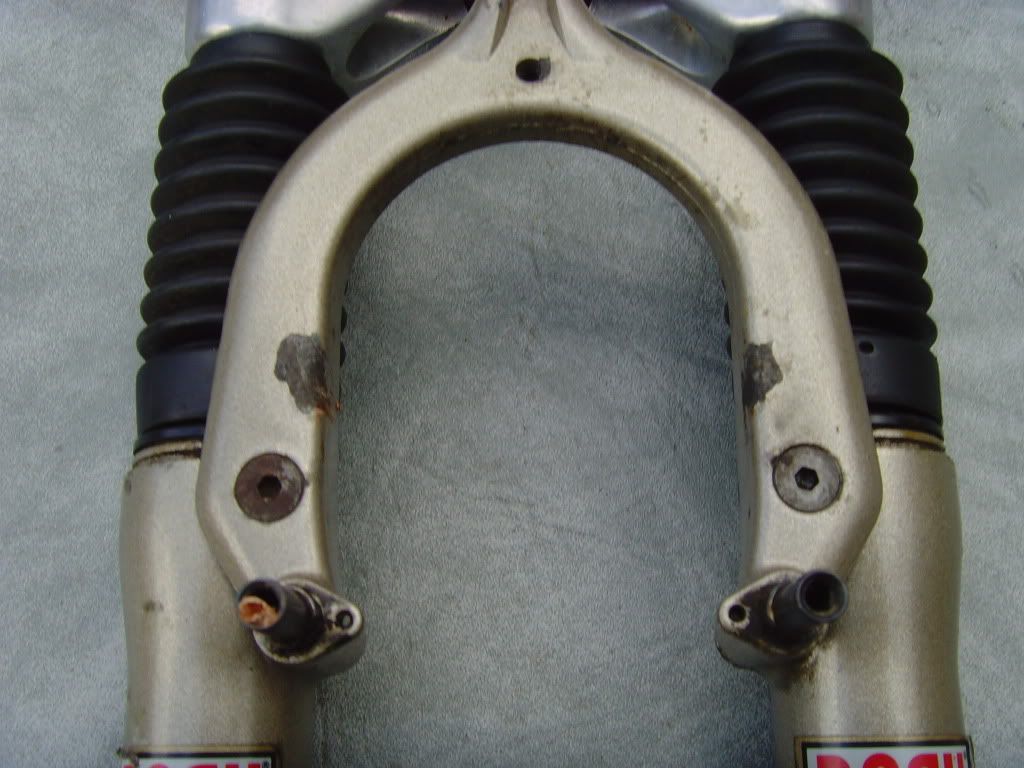SNV36461.jpg