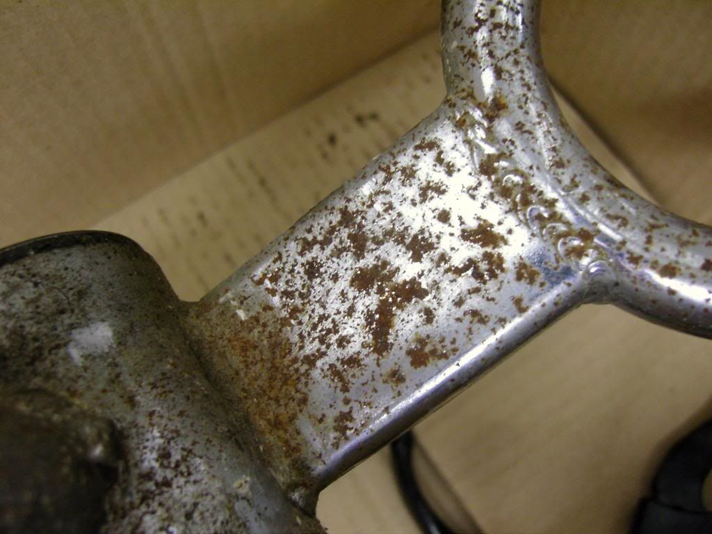 SNC17108.jpg
