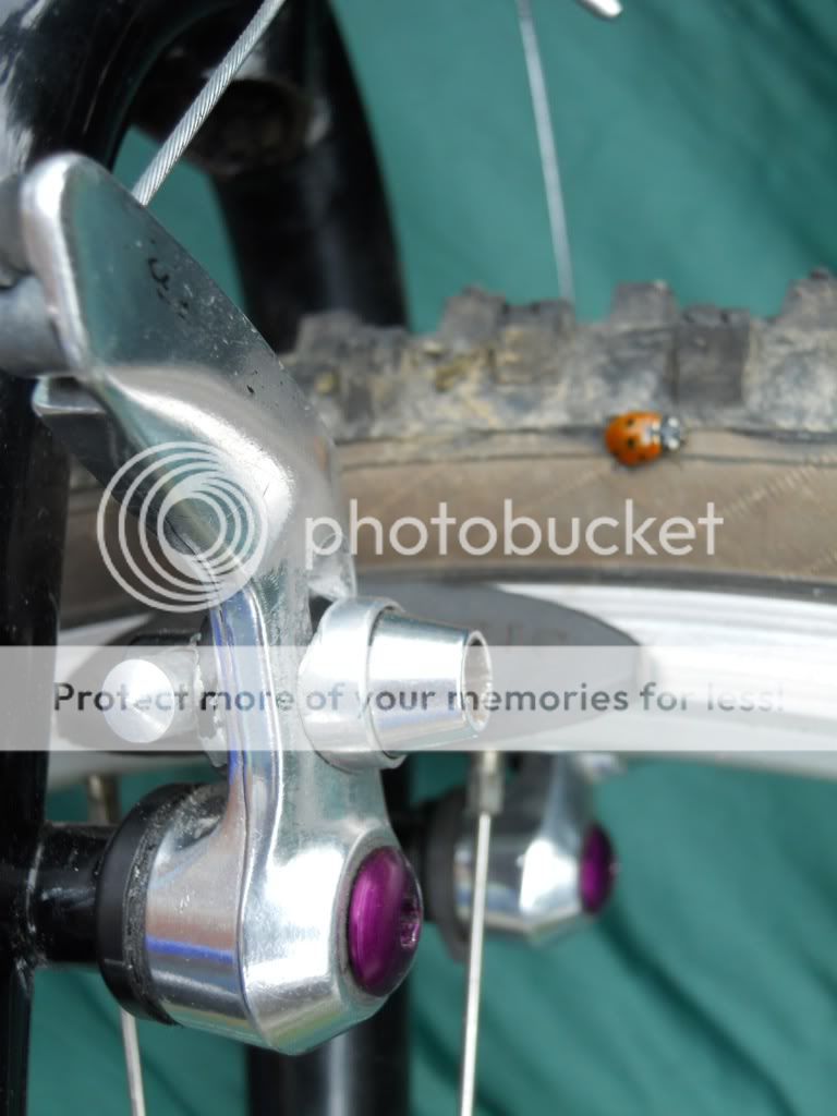 DSCN0580.jpg
