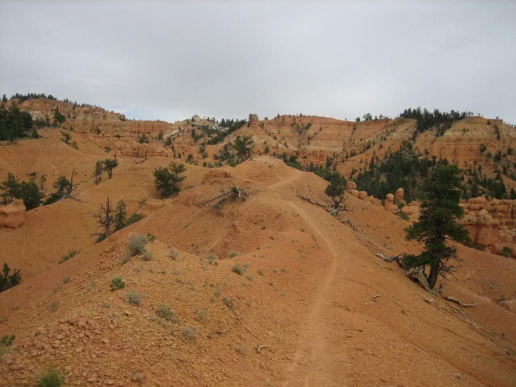 IMG_2816.jpg