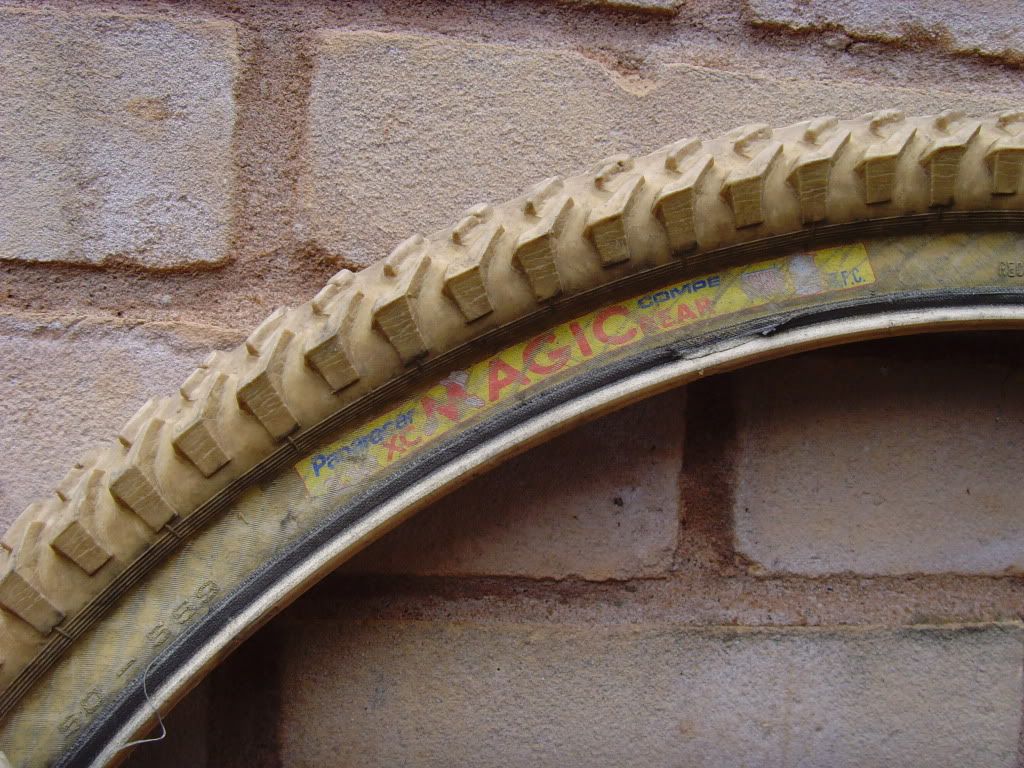 SNV35621.jpg