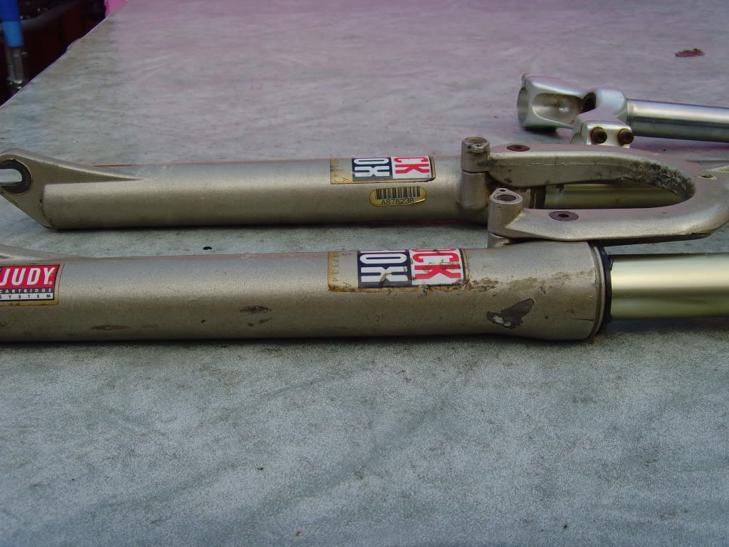 SNV36134.jpg