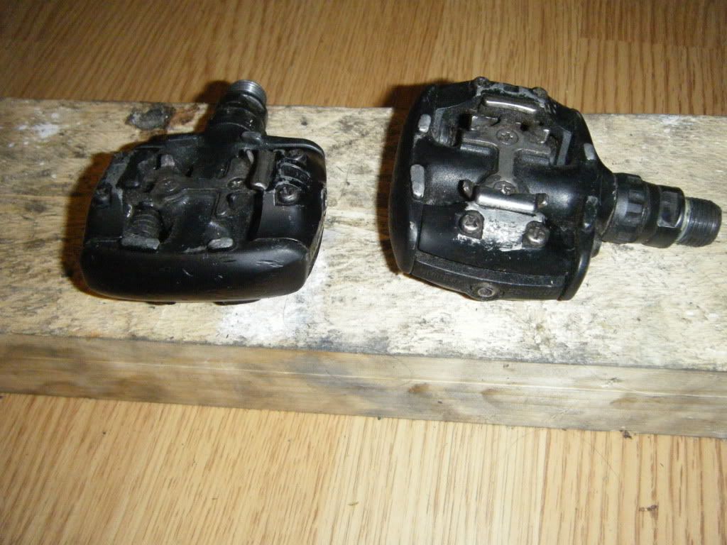 dscf5447.jpg
