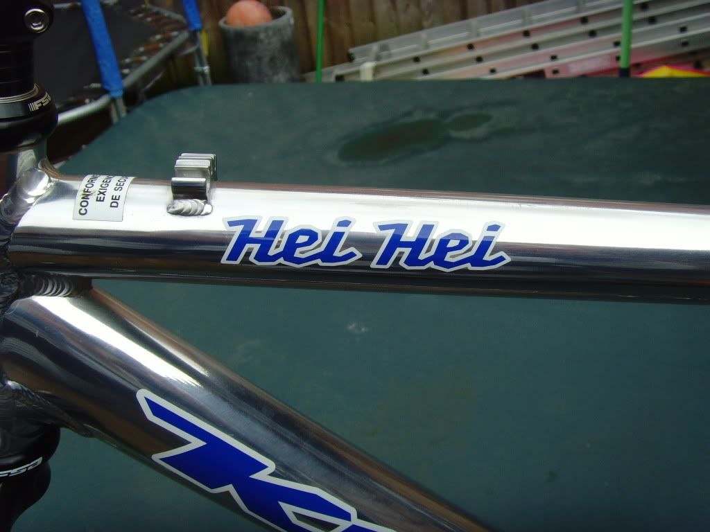 SNV35001.jpg