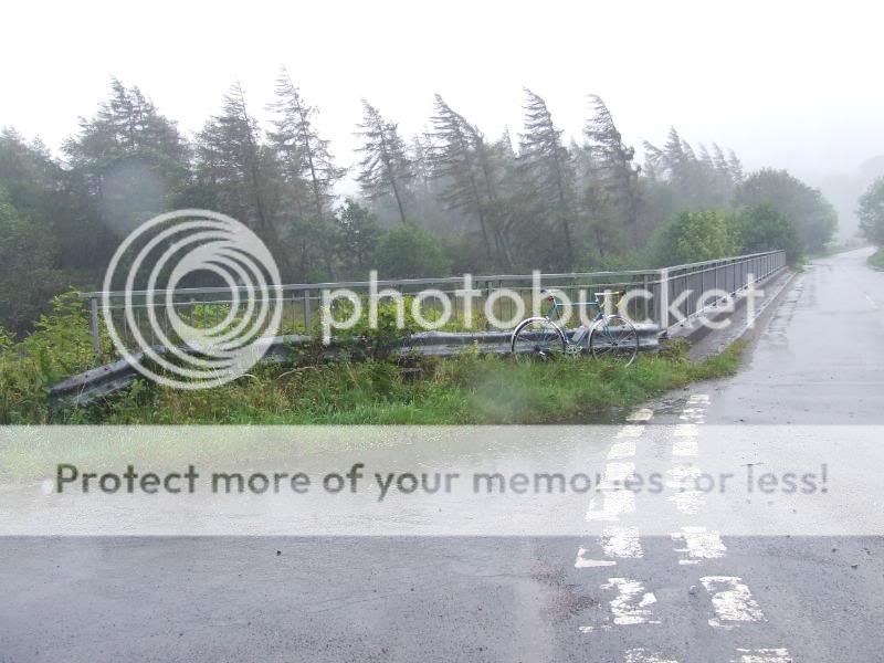 DSCF3773.jpg