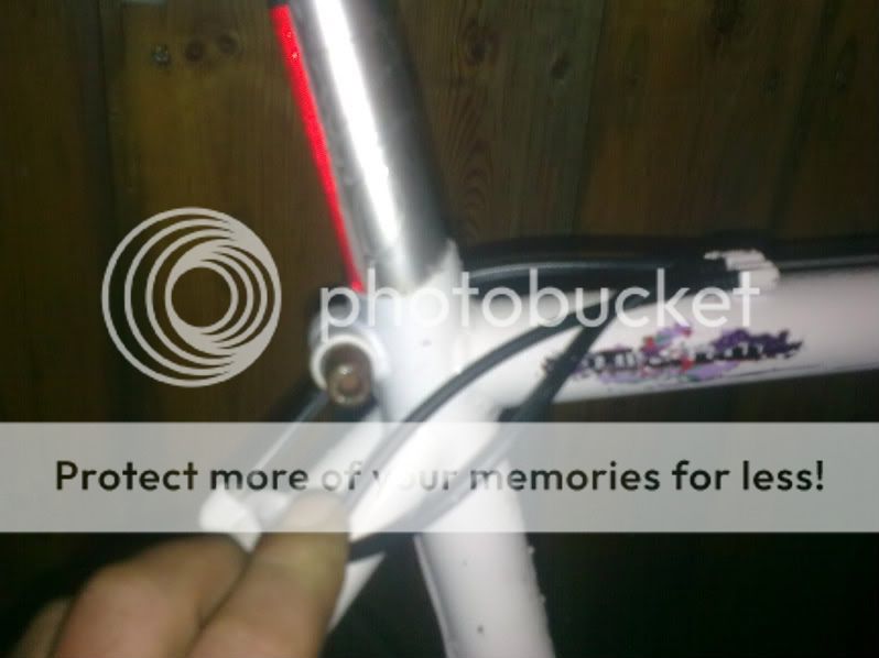 newbike005.jpg