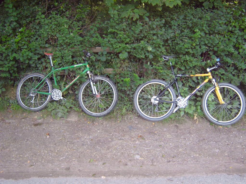 IMG00411.jpg