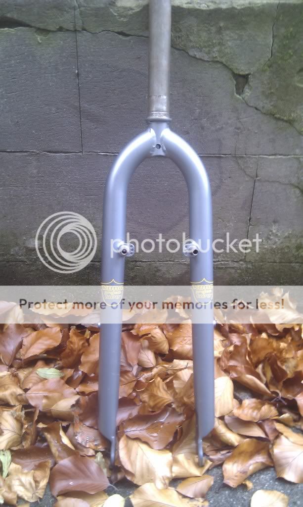 IMAG0534.jpg