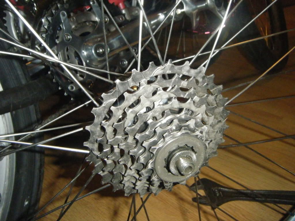 DSCF2082.jpg