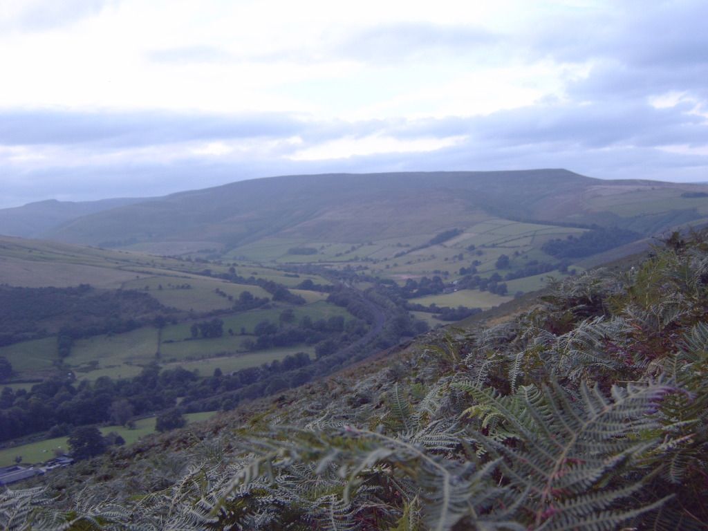 IMG00549.jpg