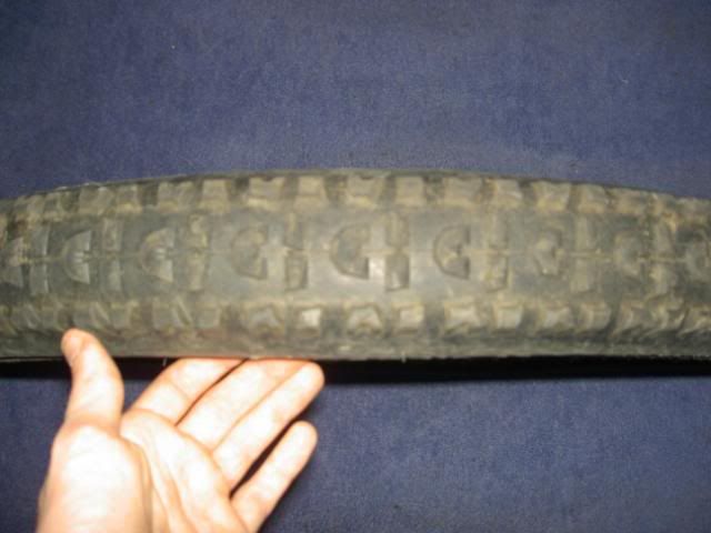 PICT3725.jpg