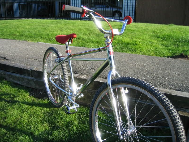 Panda260002.jpg