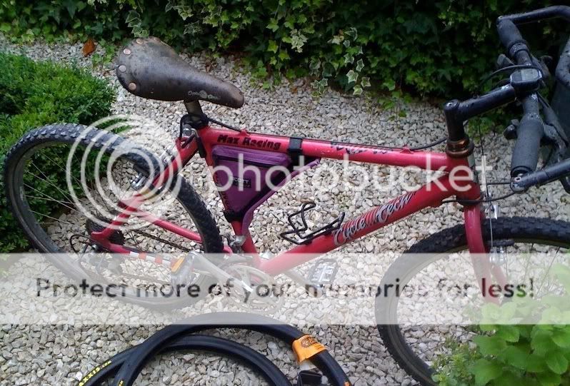 bike2.jpg