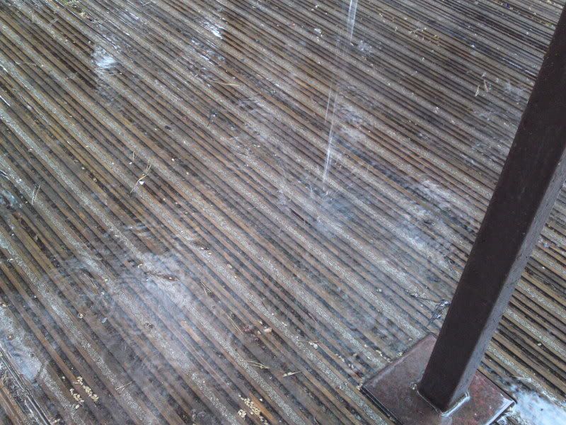 06062010875.jpg