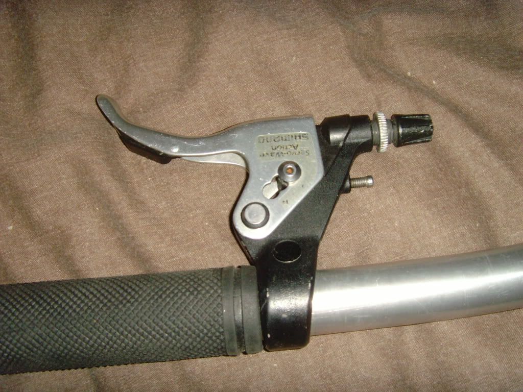 SNV34265.jpg