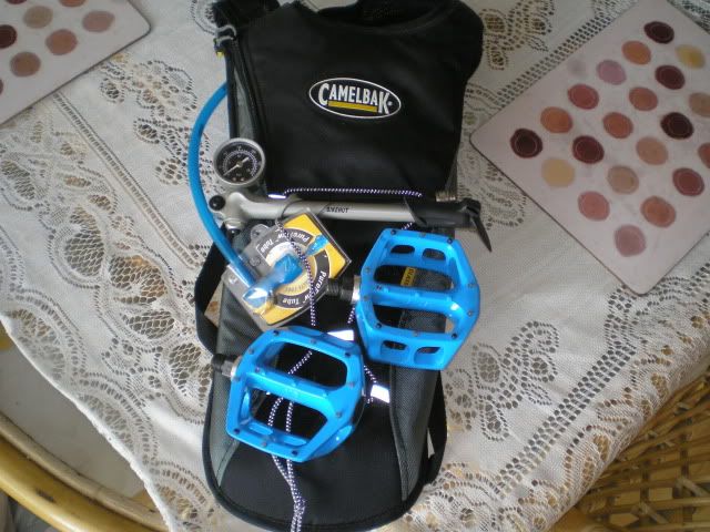 P1010155.jpg