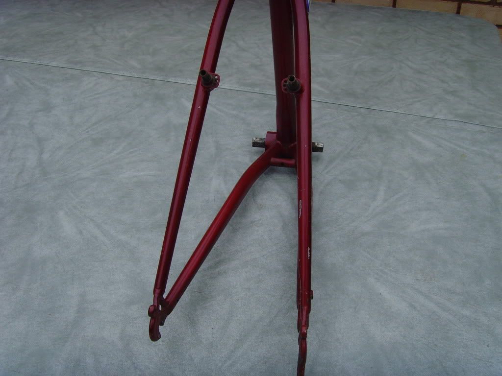 SNV36490.jpg