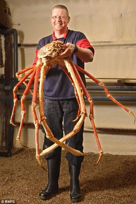 thats-a-huge-bitch.jpg