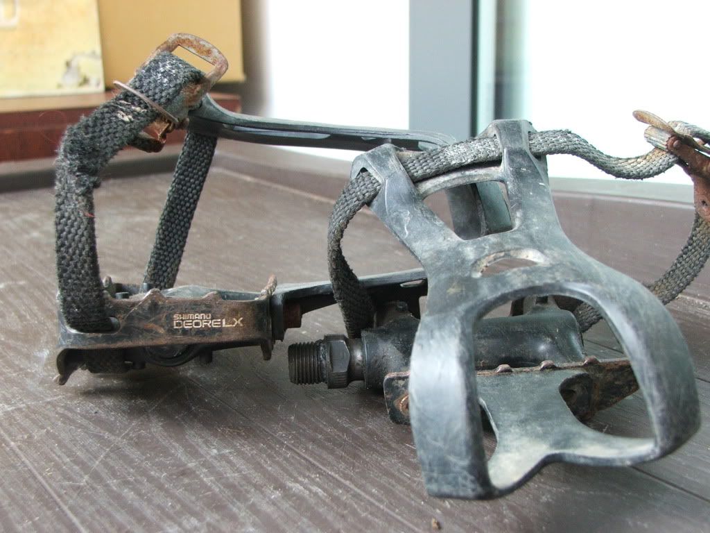 DSCF6426.jpg