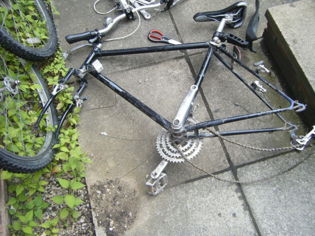 dscf6203.jpg