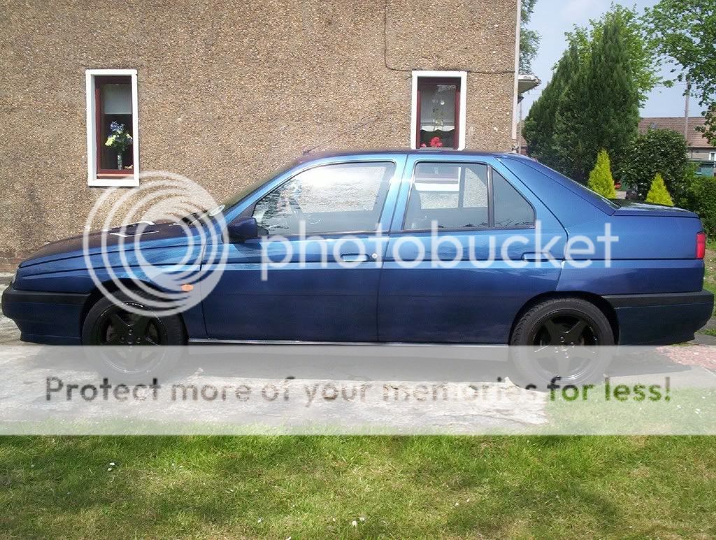 alfa155.jpg