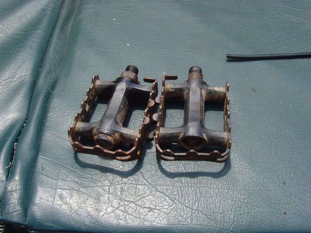 SNV34029.jpg