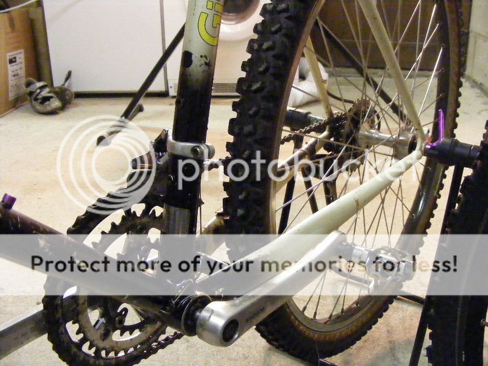 2011_0110gitane0013.jpg