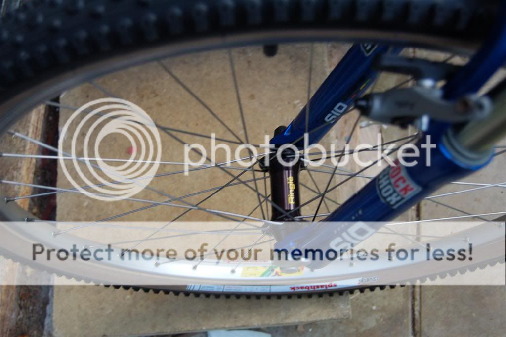 Ringle_Mavic002Large.jpg