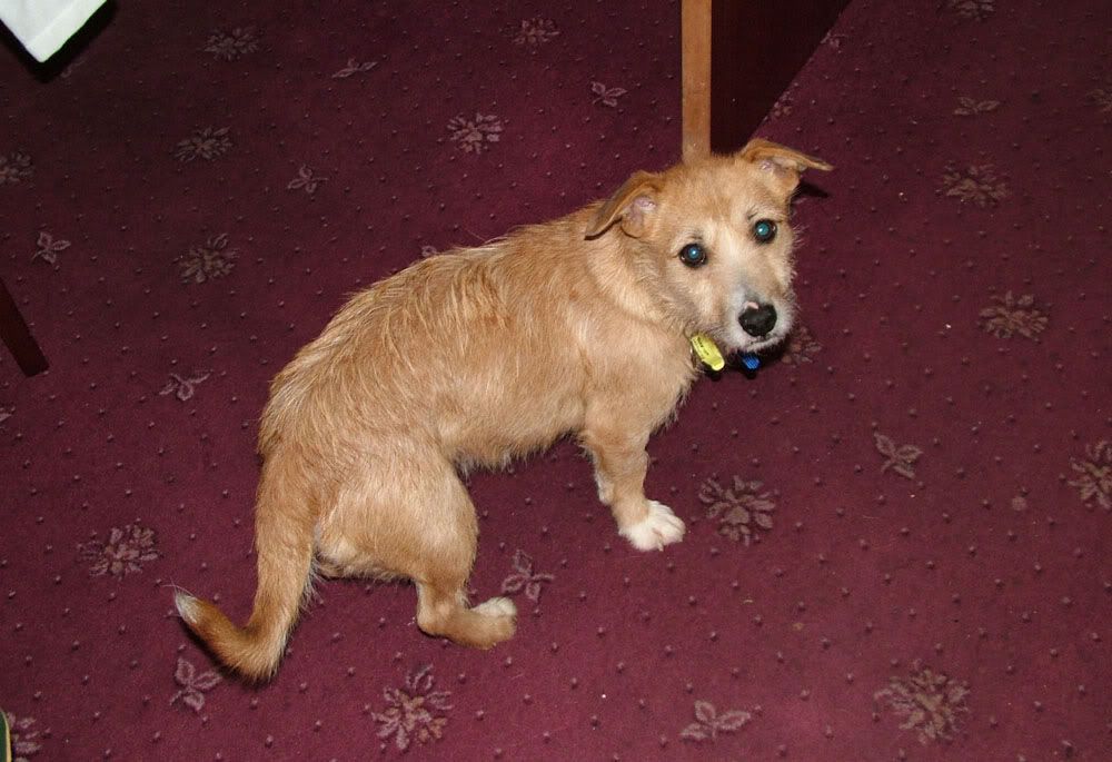2006_0106Image0007.jpg