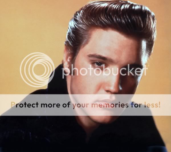 elvis-600x531.jpg