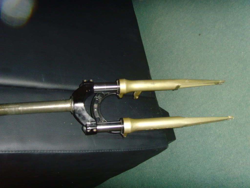 SNV33910.jpg