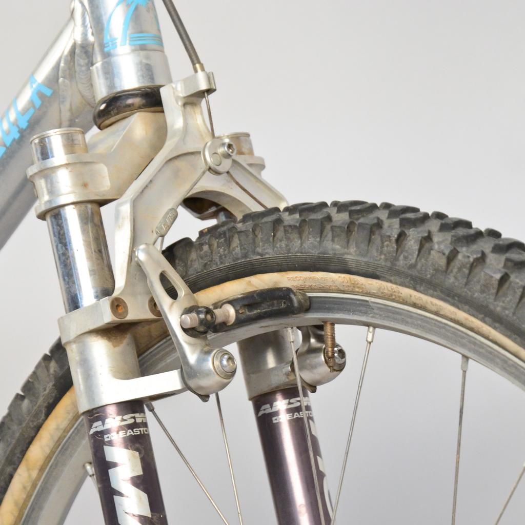 travisbrownmtb-9.jpg