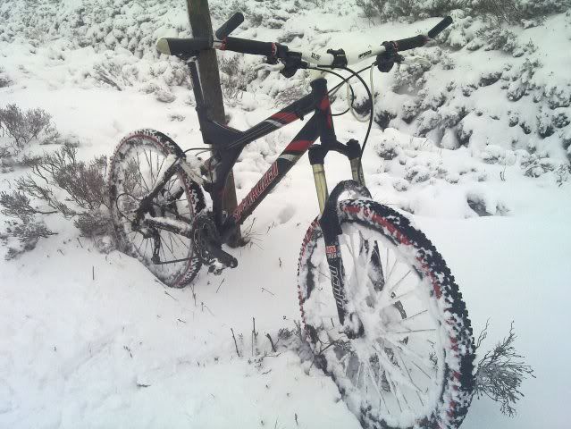 20110219_003.jpg