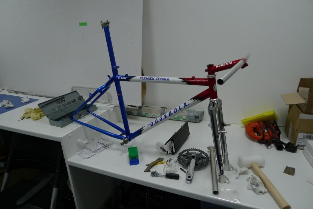 P1000256.jpg