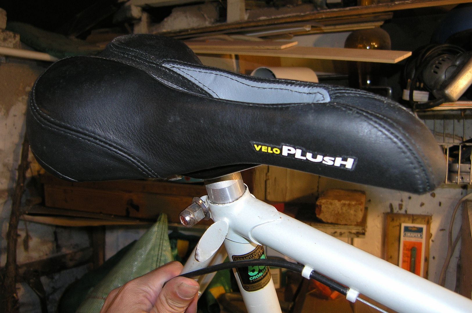P7310398_zpsbd7f78f9.jpg