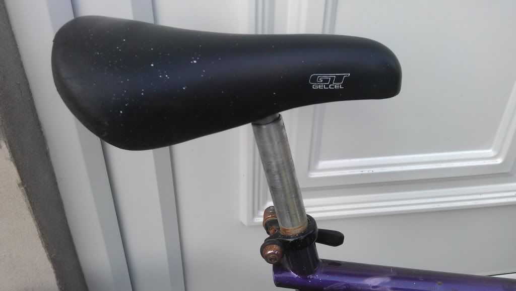 IMAG0113.jpg
