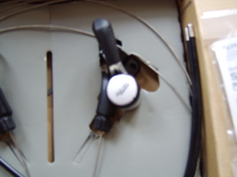 STA70005.jpg