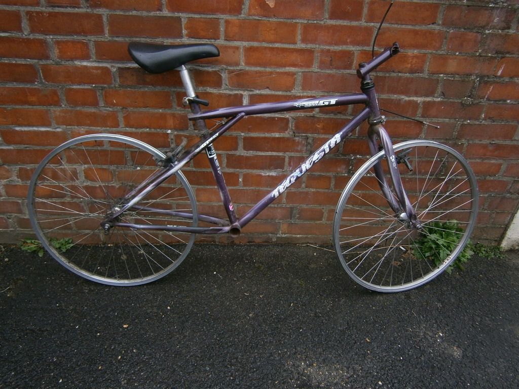 P4022041_zpst45cyaeu.jpg