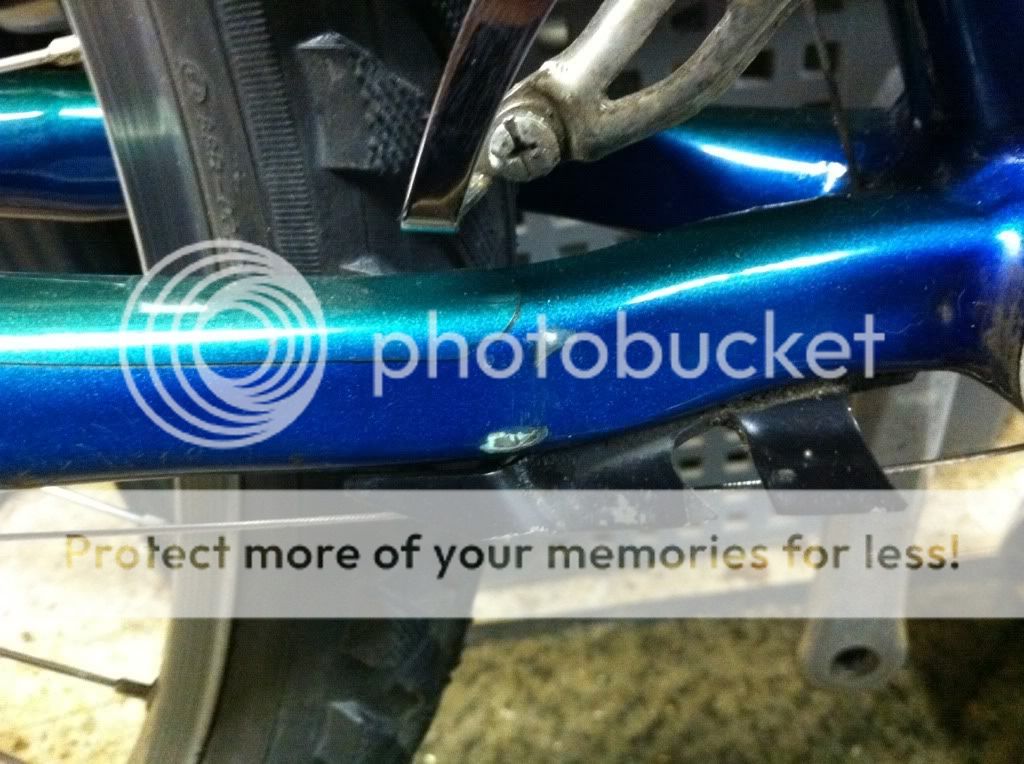 7197700f.jpg