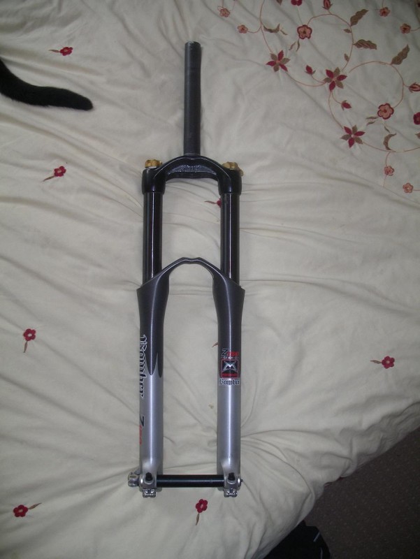 pbpic3771002.jpg